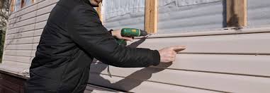 Best Vinyl Siding Installation  in Little Flock, AR